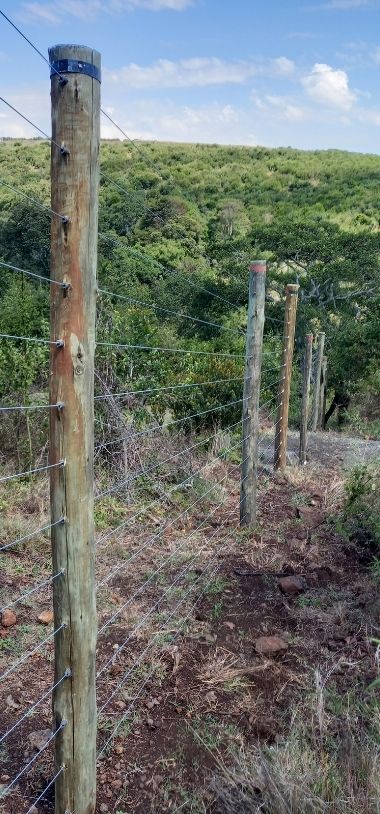 Barbed Fence