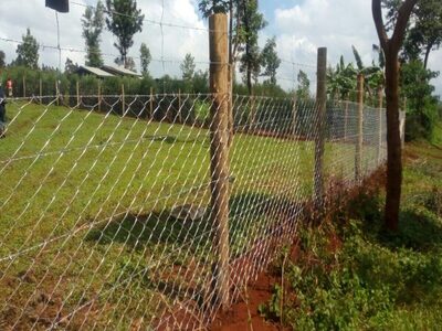 Chainlink Fence