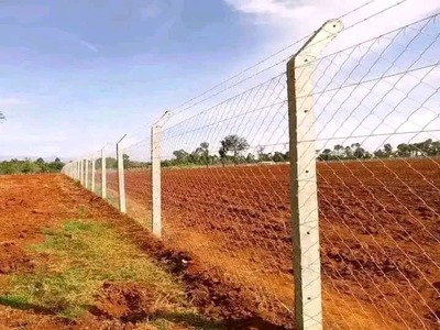 Concrete Fence